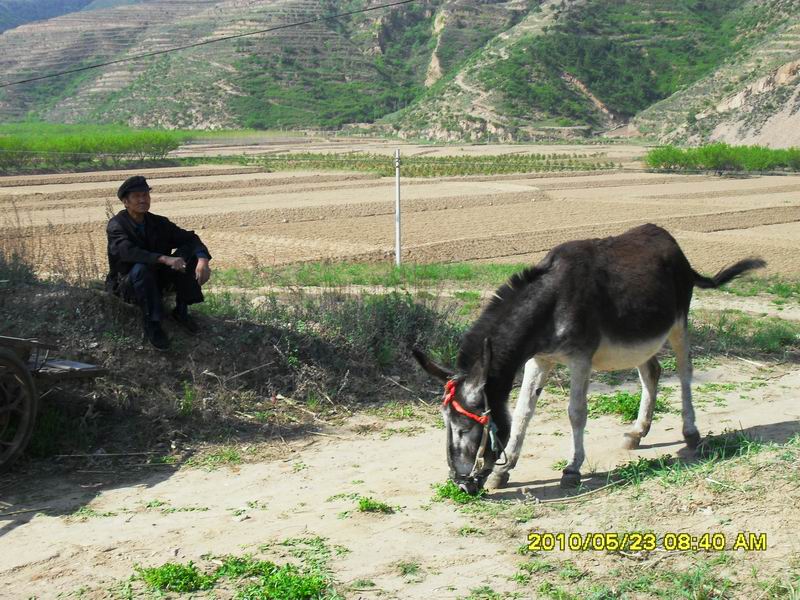 调整大小 SDC12314.JPG