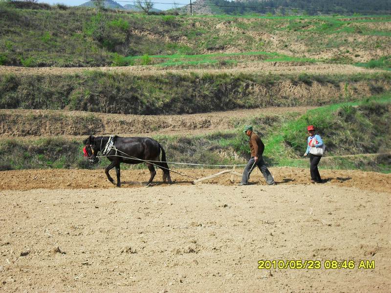 调整大小 SDC12316.JPG