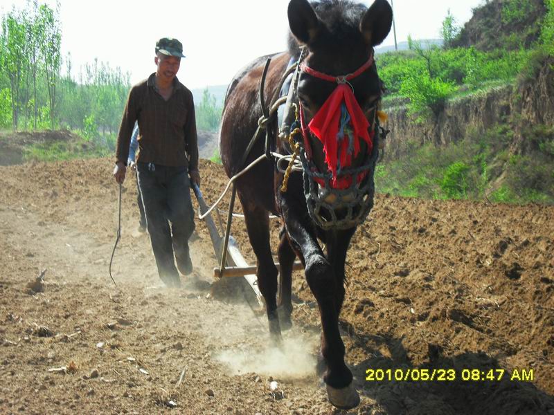 调整大小 SDC12319.JPG