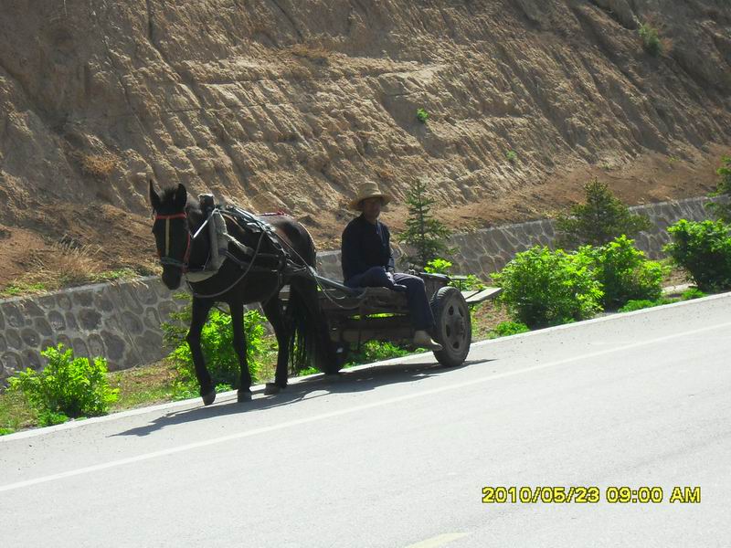 调整大小 SDC12320.JPG