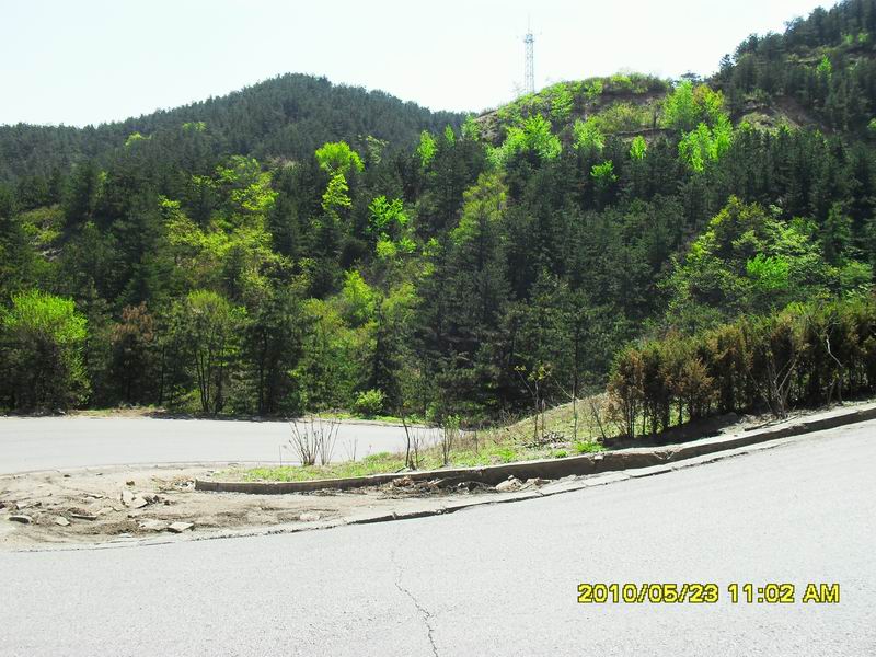 调整大小 SDC12334.JPG