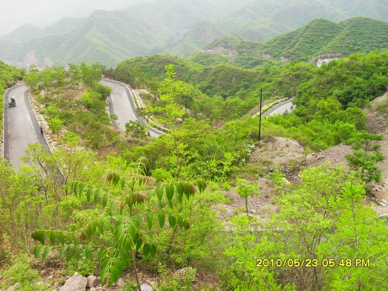 调整大小 SDC12391.JPG