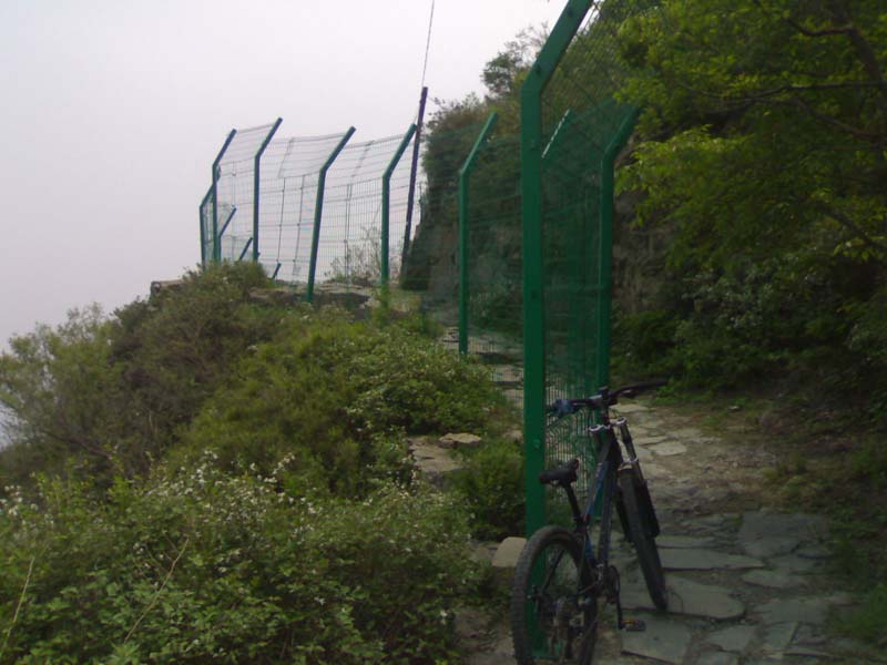 20100522678.jpg