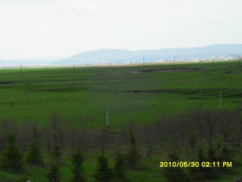 调整大小 SDC12628.JPG