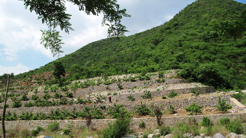 农民，按现在的标准，日薪低于100不要做啊