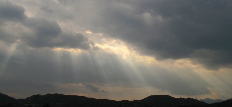 阳光偏要照在大地上