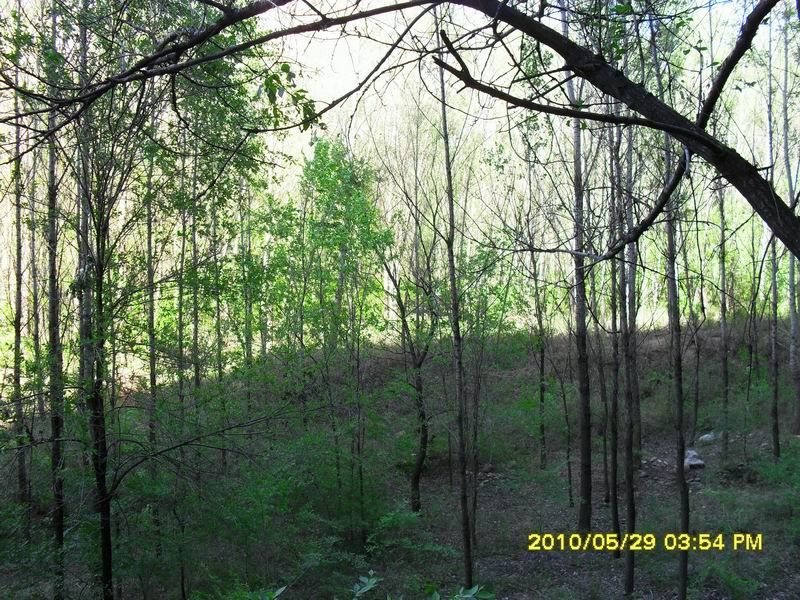 调整大小 SDC12504.JPG