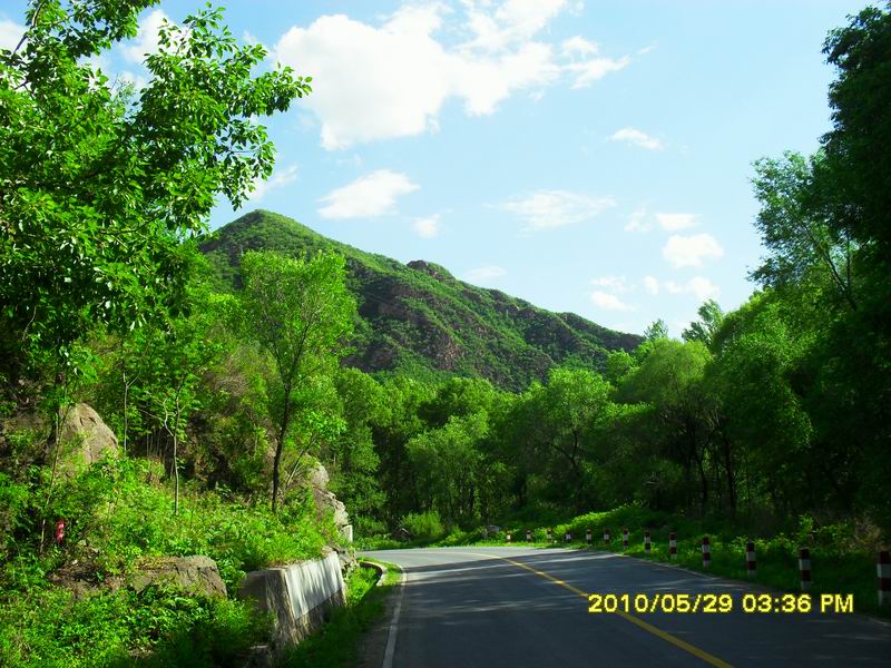 调整大小 SDC12502.JPG