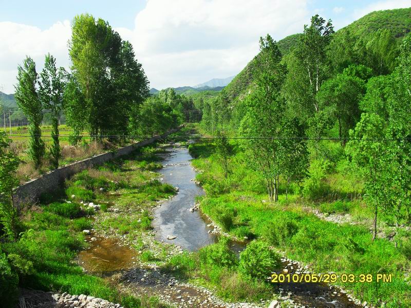 调整大小 SDC12503.JPG