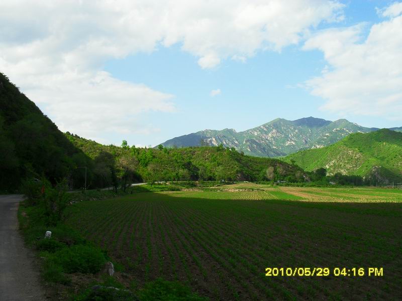 调整大小 SDC12507.JPG