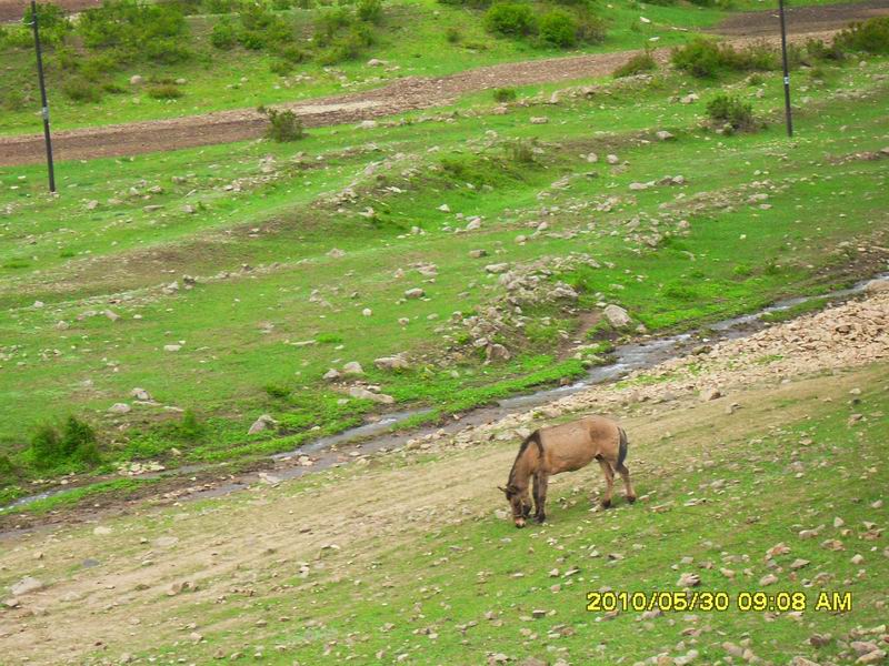 调整大小 SDC12582.JPG