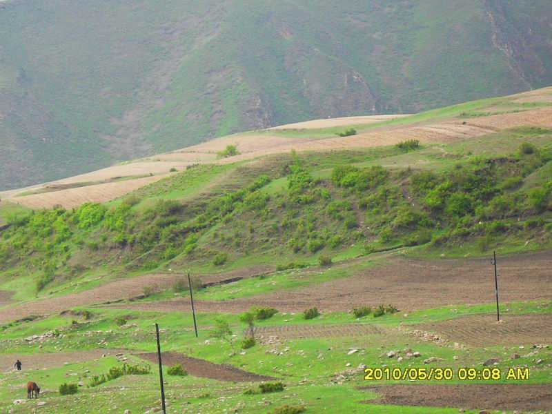 调整大小 SDC12583.JPG