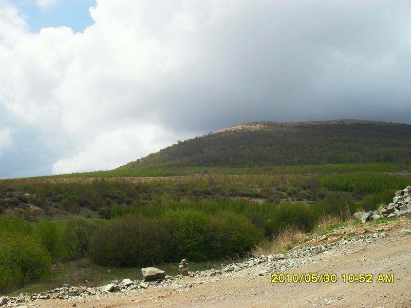 调整大小 SDC12603.JPG