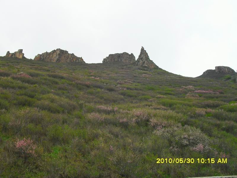 调整大小 SDC12601.JPG