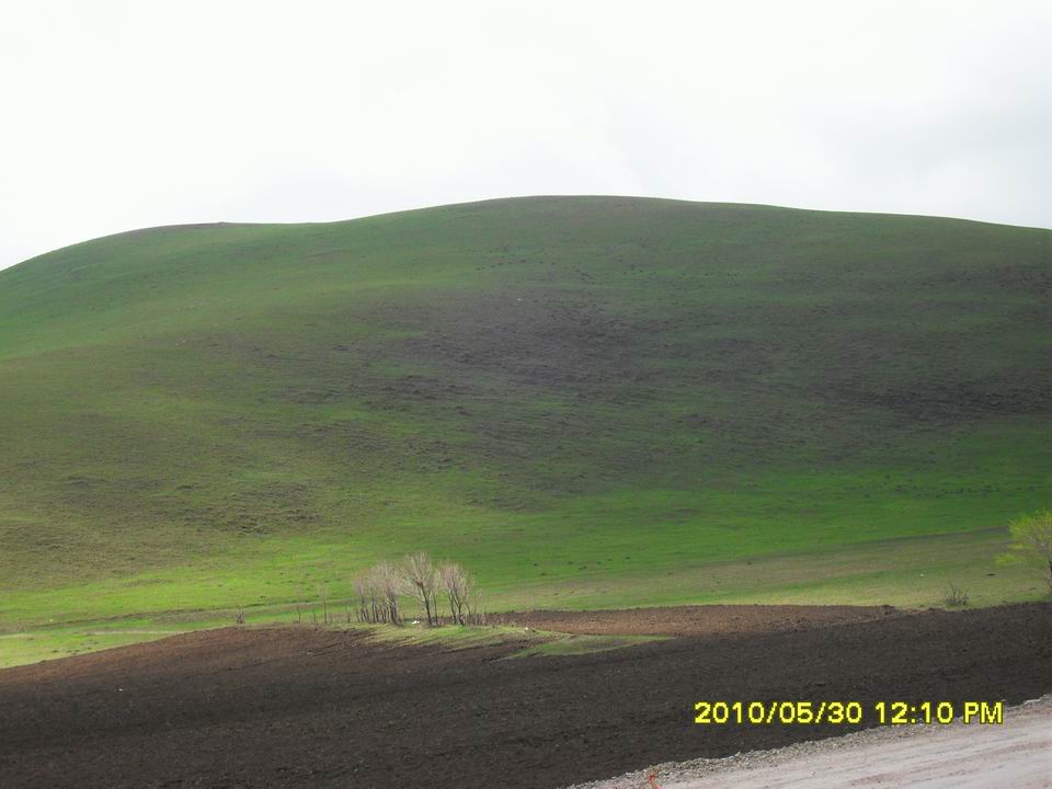 调整大小 SDC12604.JPG