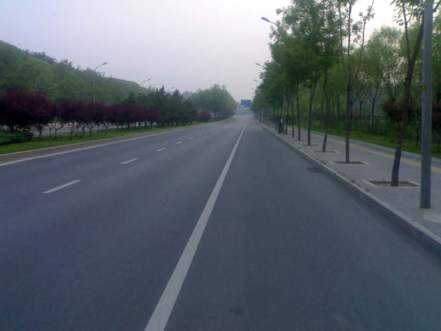 20100605739.jpg