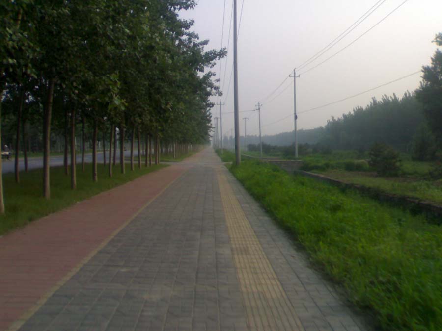 20100605743.jpg