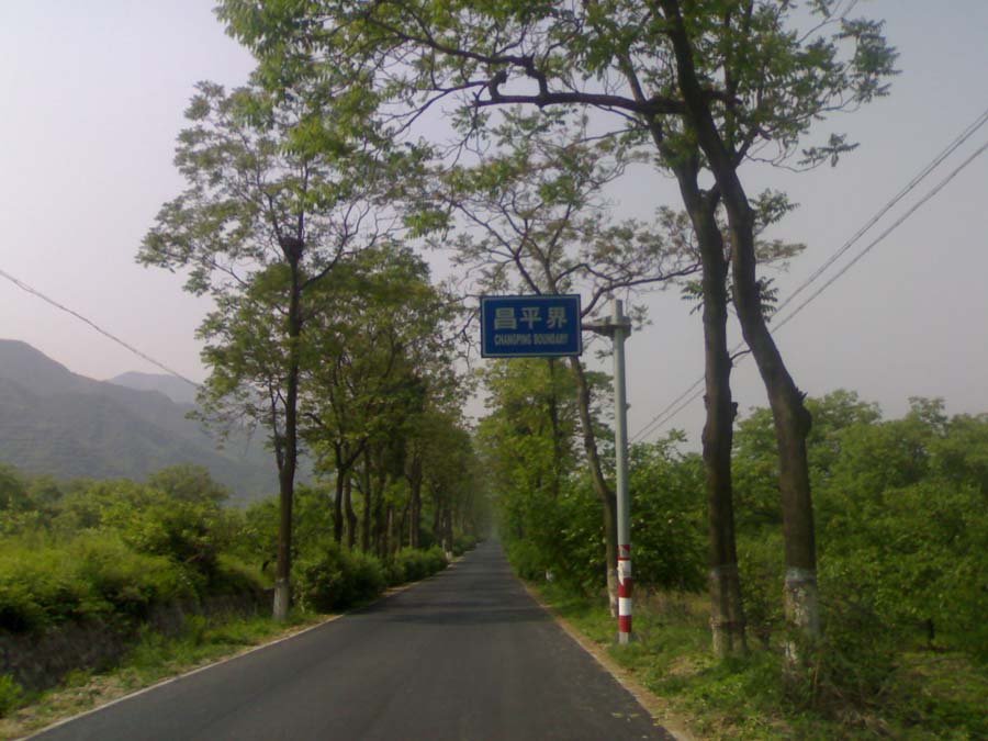 20100605787.jpg