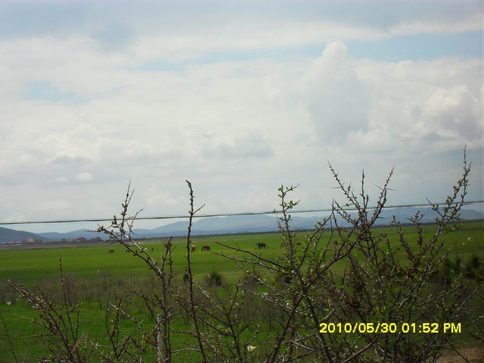 调整大小 SDC12617.JPG