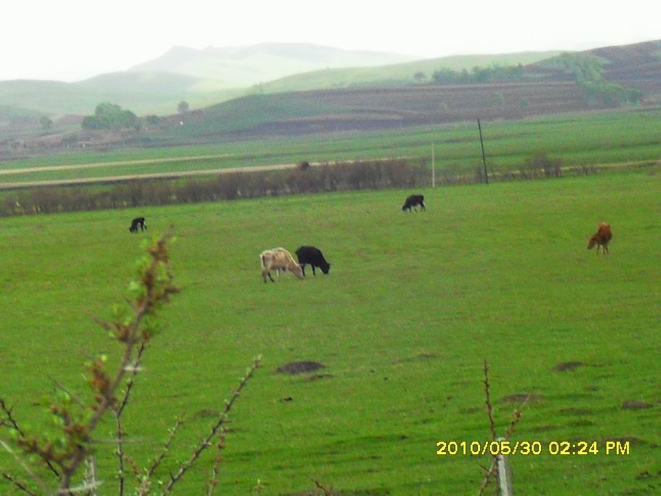 调整大小 SDC12633.JPG