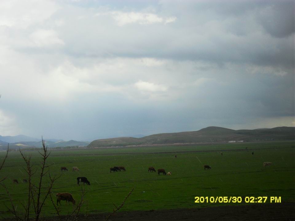 调整大小 SDC12635.JPG