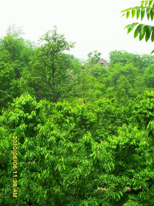 调整大小 SDC13000.JPG