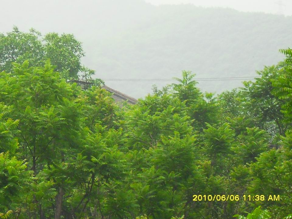 调整大小 SDC13003.JPG