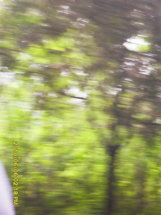 调整大小 SDC13202.JPG