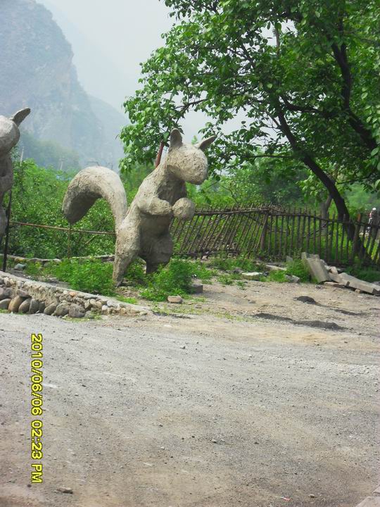 调整大小 SDC13252.JPG