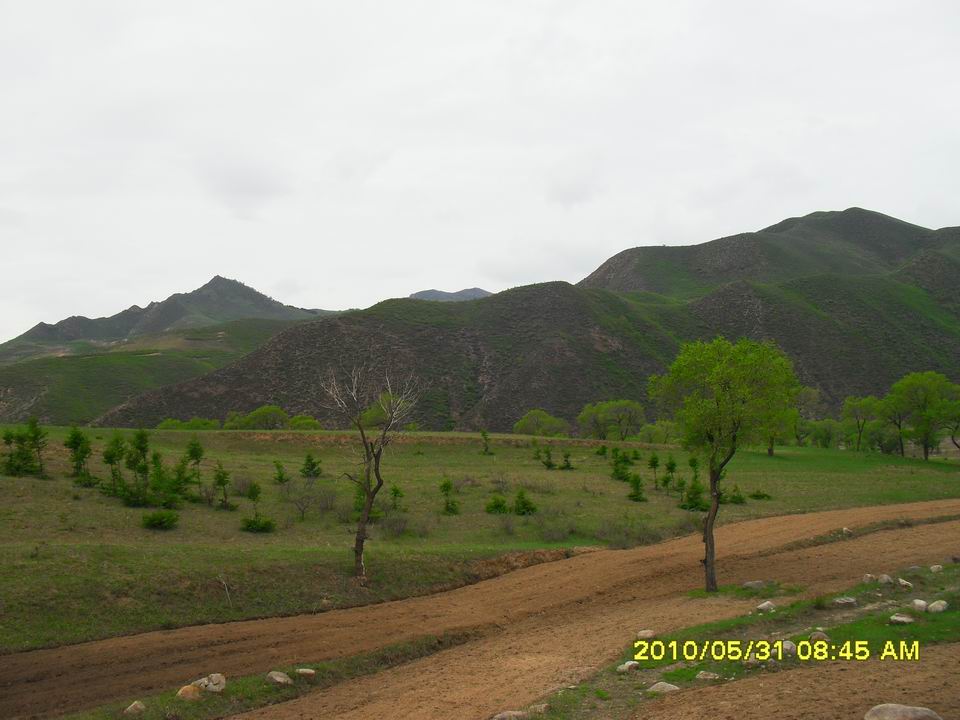 调整大小 SDC12650.JPG