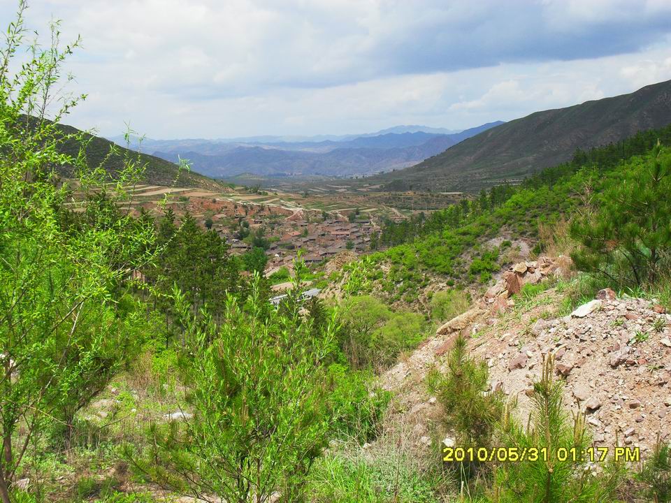 调整大小 SDC12655.JPG