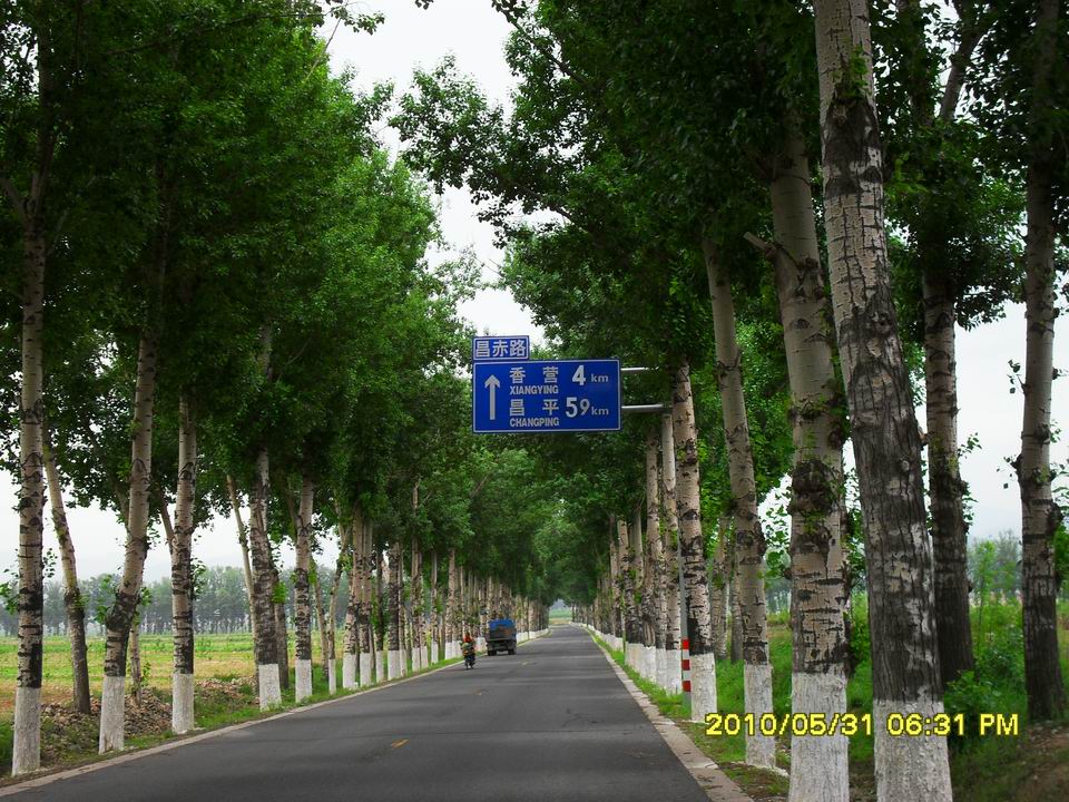 调整大小 SDC12702.JPG