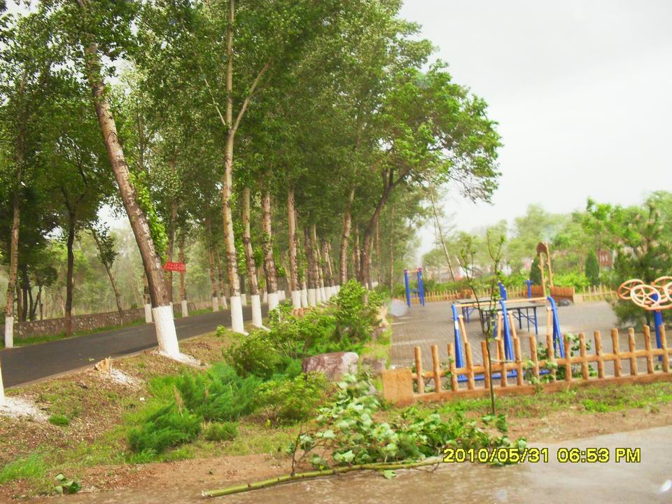 调整大小 SDC12703.JPG