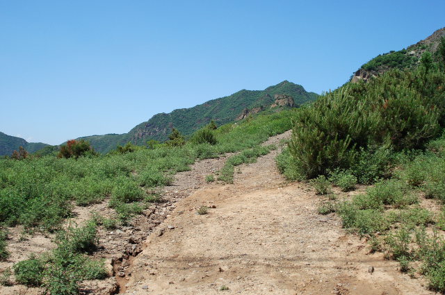 很宽很宽的XC道路