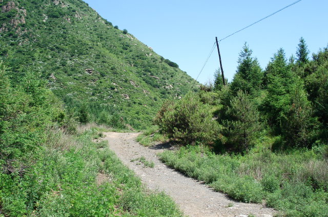 大马路（为什么，后边详细说明）