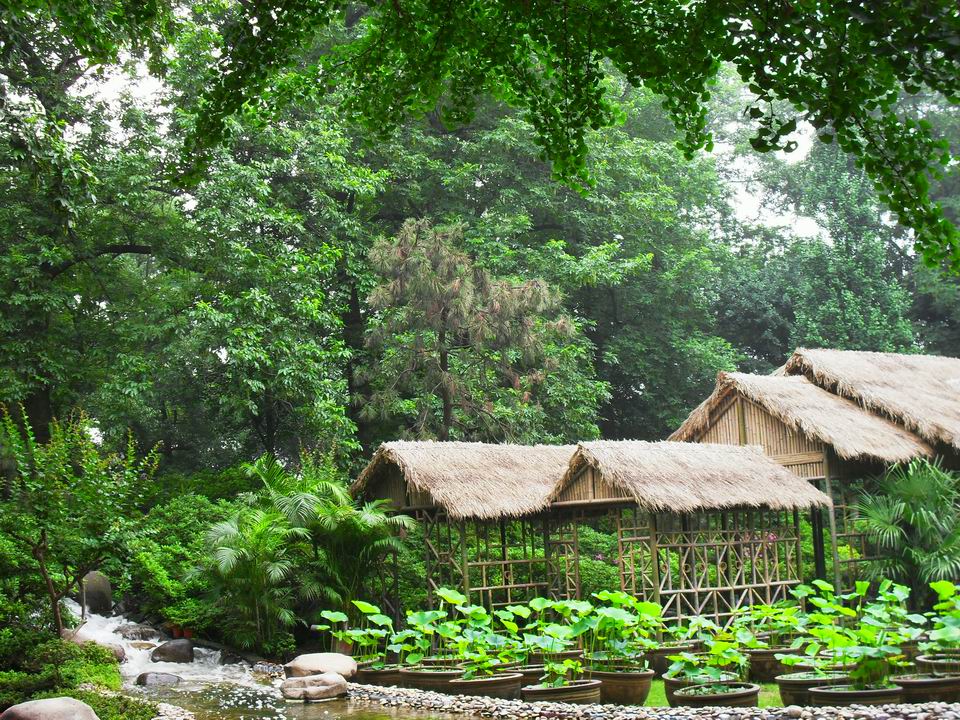 调整大小 SDC13480.JPG