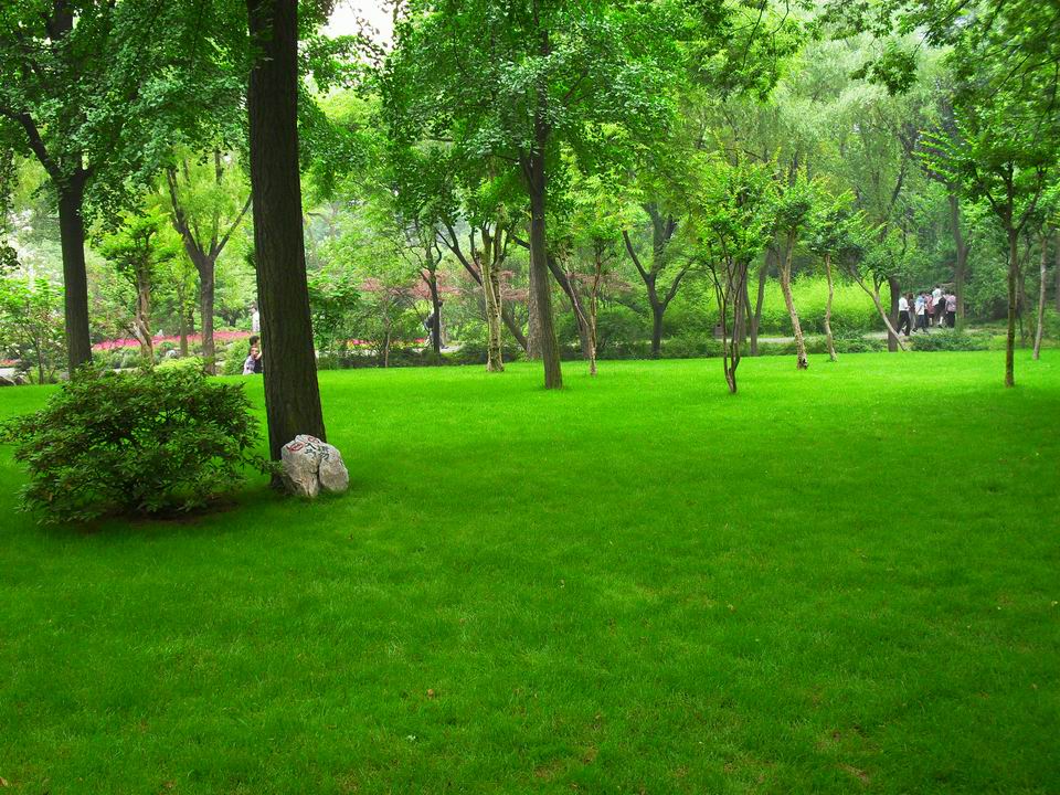 调整大小 SDC13470.JPG