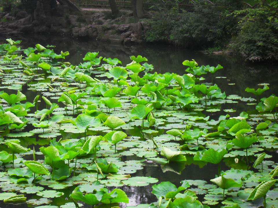 调整大小 SDC13463.JPG