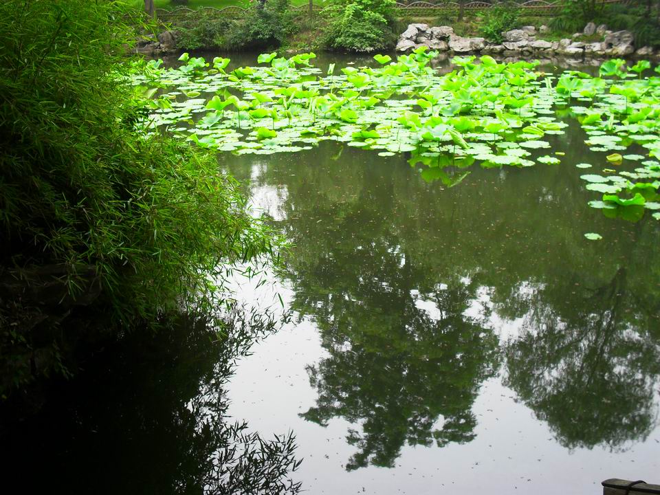 调整大小 SDC13459.JPG