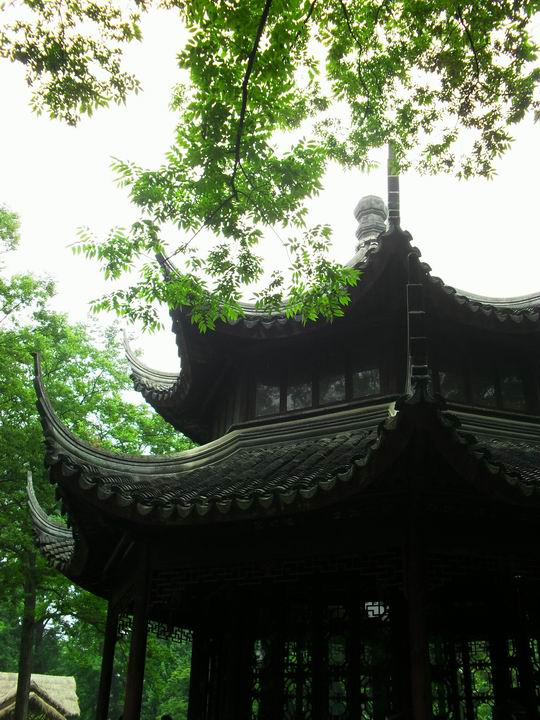 调整大小 SDC13473.JPG