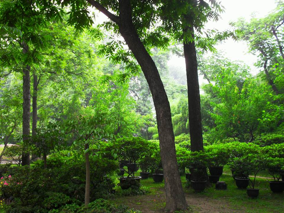 调整大小 SDC13469.JPG