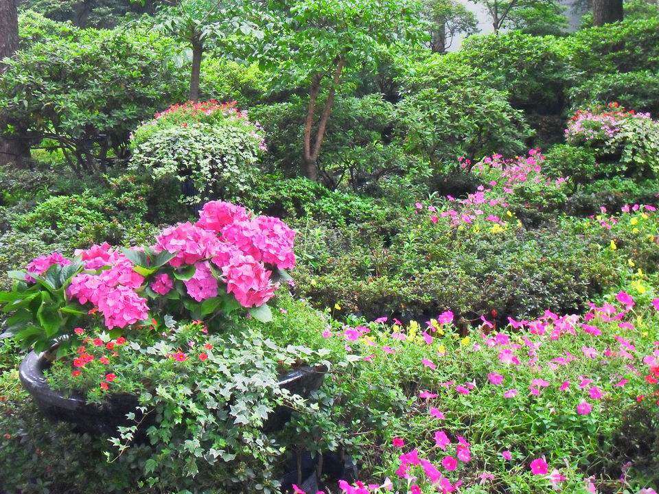 调整大小 SDC13471.JPG