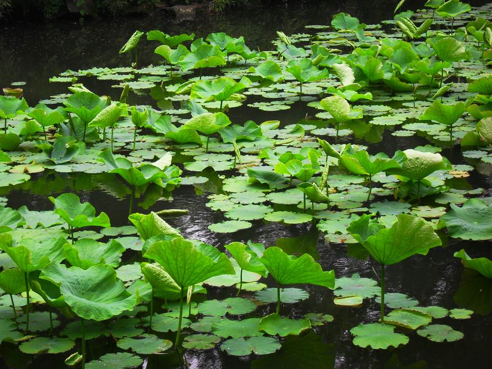 调整大小 SDC13467.JPG