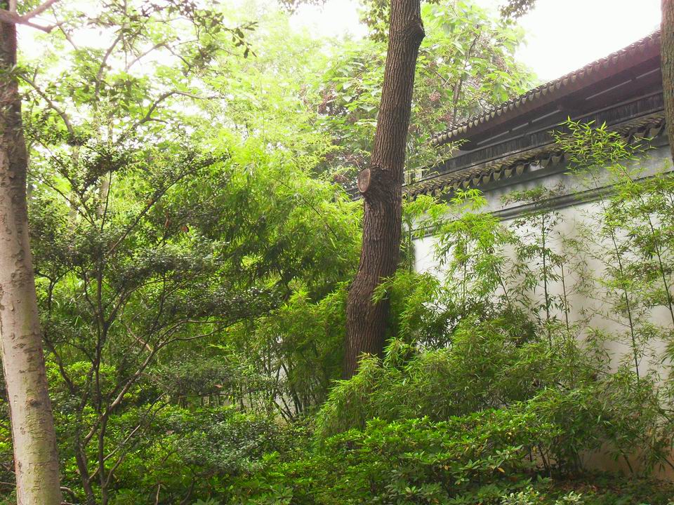 调整大小 SDC13465.JPG