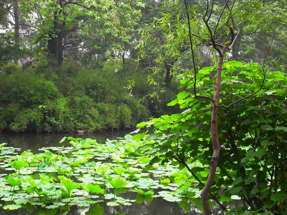 调整大小 SDC13466.JPG