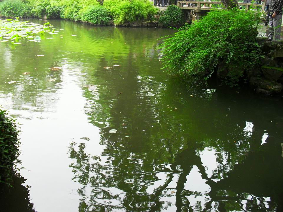 调整大小 SDC13503.JPG