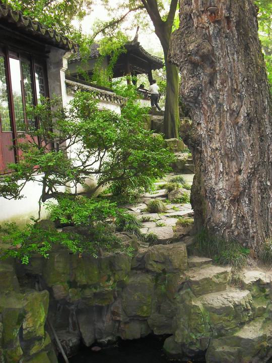 调整大小 SDC13504.JPG