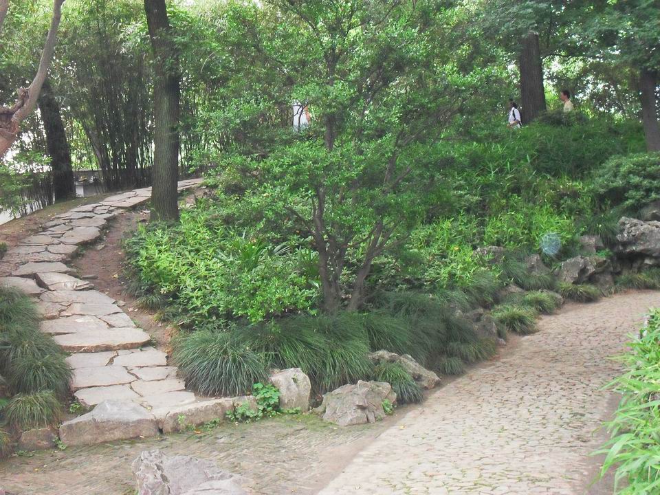 调整大小 SDC13481.JPG