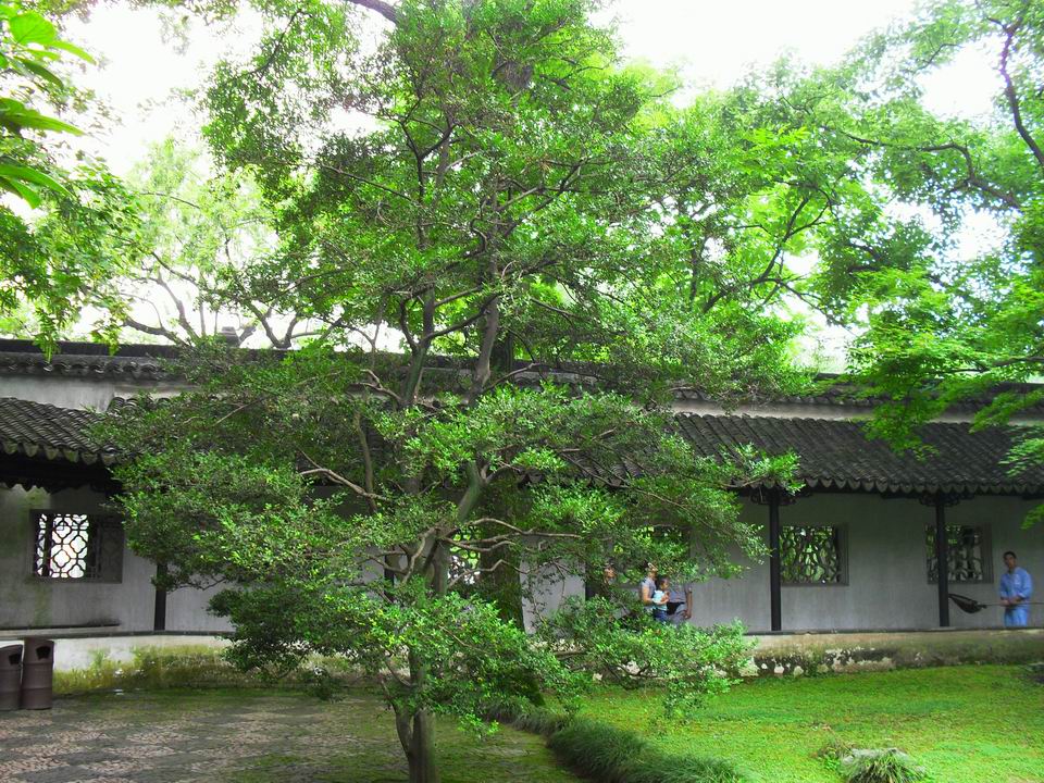 调整大小 SDC13494.JPG