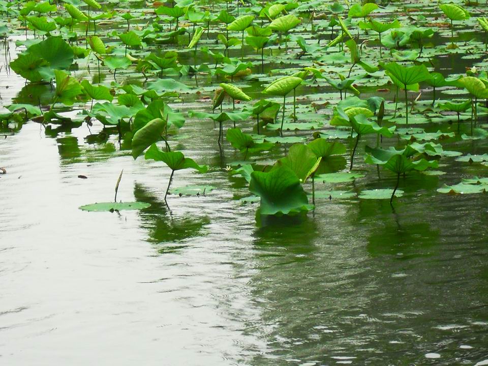 调整大小 SDC13500.JPG